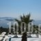 Skiathosub Hotel & Suites_travel_packages_in_Sporades Islands_Skiathos_Troulos