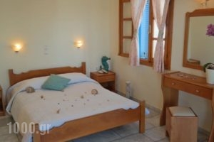 Karabatsis Studios_accommodation_in_Hotel_Cyclades Islands_Naxos_Agios Prokopios