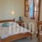 Karabatsis Studios_accommodation_in_Hotel_Cyclades Islands_Naxos_Agios Prokopios