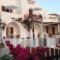 Hotel Irene_best prices_in_Hotel_Cyclades Islands_Paros_Paros Chora