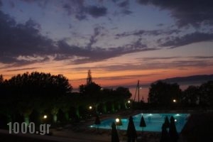 Bella Vista Hotel_best prices_in_Hotel_Aegean Islands_Lesvos_Mythimna (Molyvos)