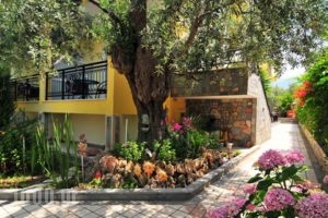 Erodios Studios_best prices_in_Hotel_Aegean Islands_Thasos_Thasos Chora