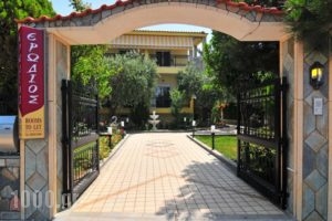 Erodios Studios_best deals_Hotel_Aegean Islands_Thasos_Thasos Chora