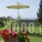 Villa Divaria_best prices_in_Villa_Ionian Islands_Zakinthos_Zakinthos Rest Areas