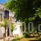 Saonisos_accommodation_in_Hotel___