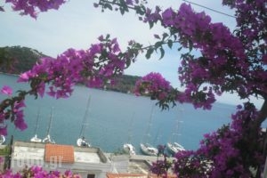 Babis_holidays_in_Hotel_Sporades Islands_Skiathos_Skiathoshora