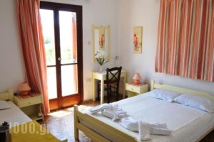 Pension Paros Anna Spanou_accommodation_in_Hotel_Cyclades Islands_Paros_Paros Chora