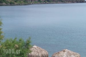 9 Musses Studios_holidays_in_Hotel_Aegean Islands_Lesvos_Polihnit's
