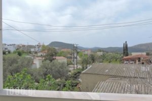Chios Rooms Maria_best prices_in_Room_Aegean Islands_Chios_Chios Rest Areas