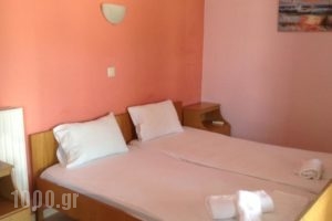 Pansion Eleni_holidays_in_Hotel_Macedonia_Halkidiki_Ammouliani
