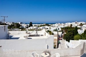 Pension Paros Anna Spanou_lowest prices_in_Hotel_Cyclades Islands_Paros_Paros Chora