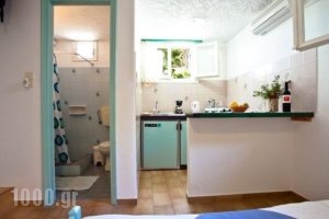 Efi Studios_holidays_in_Hotel_Cyclades Islands_Antiparos_Antiparos Chora