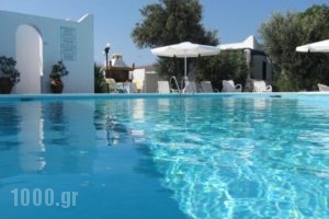 Lilly's Island_accommodation_in_Hotel_Cyclades Islands_Antiparos_Antiparos Chora