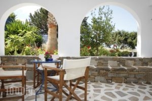 Vrahia Studios_best prices_in_Hotel_Cyclades Islands_Naxos_Agiassos