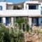 Flora & Agelos Studios_holidays_in_Hotel_Cyclades Islands_Antiparos_Antiparos Rest Areas