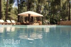 Stamatiadis Sani Cape Villas in Skyros Chora, Skyros, Sporades Islands