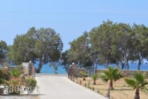 Akrothalassia_holidays_in_Hotel_Cyclades Islands_Tinos_Tinosora