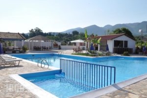 Tassos Apartments_lowest prices_in_Apartment_Ionian Islands_Corfu_Roda