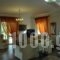 Bella Villa_holidays_in_Villa_Piraeus Islands - Trizonia_Aigina_Aigina Chora