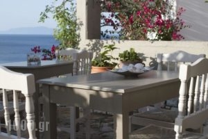 Hotel Cattleya_lowest prices_in_Hotel_Aegean Islands_Samos_Samos Rest Areas