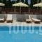 Graziella Apartments_lowest prices_in_Apartment_Dodekanessos Islands_Rhodes_Ialysos