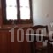 Alexandraki Rooms_best deals_Room_Peloponesse_Lakonia_Sarti