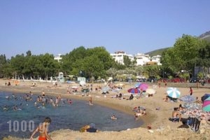 Terpsichore Apartments_holidays_in_Apartment_Thessaly_Magnesia_Pilio Area