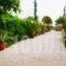 CasaKounopetra_best deals_Hotel_Ionian Islands_Kefalonia_Kefalonia'st Areas