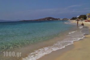 Litsa Studios_lowest prices_in_Hotel_Cyclades Islands_Naxos_Naxos chora