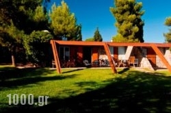 Villa Aggeliki in Pilio Area, Magnesia, Thessaly