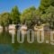 Villa Aggeliki_best deals_Villa_Central Greece_Evia_Eretria