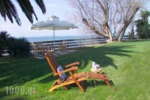 Villa Aggeliki_lowest prices_in_Villa_Central Greece_Evia_Eretria