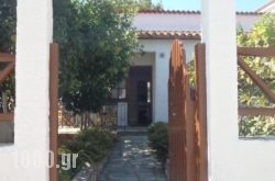 Amalia Studios in Skiathos Chora, Skiathos, Sporades Islands