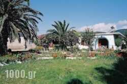 Mylos Studios in Skiathos Chora, Skiathos, Sporades Islands