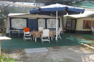 Camping Tsitreli_travel_packages_in_Macedonia_Halkidiki_Toroni