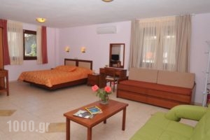 Elia Studios_best prices_in_Hotel_Aegean Islands_Thasos_Thasos Chora