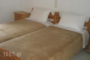 Diomas Studios_holidays_in_Hotel_Sporades Islands_Alonnisos_Patitiri