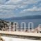 KK Houses_travel_packages_in_PiraeusIslands - Trizonia_Hydra_Hydra Chora