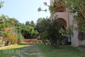 Emily'S Apartments_best prices_in_Apartment_Ionian Islands_Corfu_Kassiopi