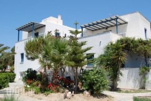 Coralli Beach Apartments_lowest prices_in_Apartment_Cyclades Islands_Paros_Paros Chora
