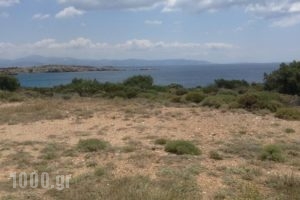 Paros Traditional Houses_best prices_in_Hotel_Cyclades Islands_Paros_Paros Chora