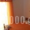 House Stella Studios & Apartments_best deals_Apartment_Macedonia_Halkidiki_Kalamitsi