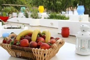 Maganas Hotel_holidays_in_Hotel_Dodekanessos Islands_Astipalea_Astipalea Chora