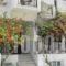Frini Hotel_lowest prices_in_Hotel_Aegean Islands_Samos_Samosst Areas