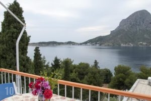 Tatsis Apartments_accommodation_in_Apartment_Dodekanessos Islands_Kalimnos_Kalimnos Rest Areas