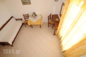 Mandilaria Studios_holidays_in_Hotel_Cyclades Islands_Sandorini_Sandorini Chora