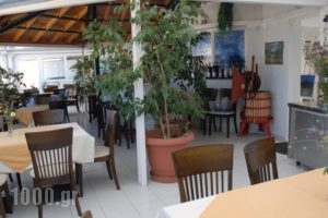 Amanda Hotel_holidays_in_Hotel_Aegean Islands_Samos_Karlovasi