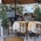 Amanda Hotel_best deals_Hotel_Aegean Islands_Samos_Karlovasi