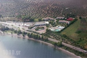 Levendi Hotel_accommodation_in_Hotel_Central Greece_Fthiotida_Kamena Vourla