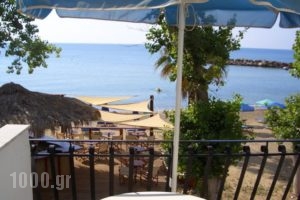 Hercules Sea Front Studios_travel_packages_in_Ionian Islands_Kefalonia_Katelios